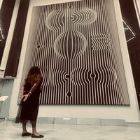 fondationvasarely.org