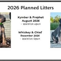 Planned Litters Planned Litters