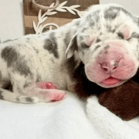 Maverick - RESERVED Maverick - RESERVED