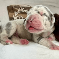 Maverick - RESERVED Maverick - RESERVED