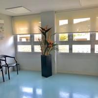 great view of the ent practice solving throat problems