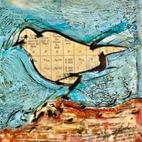 Bird/Bolt Bird/Bolt