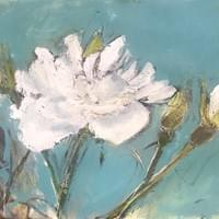 White Roses White Roses