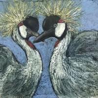 Crowned Cranes Crowned Cranes
