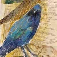 Starling Starling