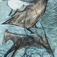 Birds and Horses in Time and Space Birds and Horses in Time and Space