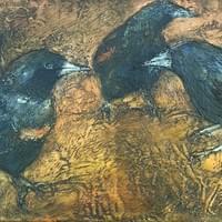 Birdfeeders Birdfeeders