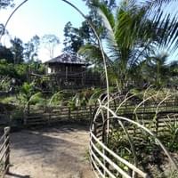 Native Village Food garden Palawan Philippines