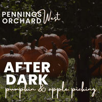 NIGHTTIME APPLE & PUMPKIN PICKING NIGHTTIME APPLE & PUMPKIN PICKING