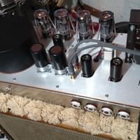 Volition Amps Jim Kelly clone Volition Amps Jim Kelly clone