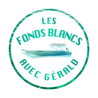 creation-logo-martinique-fonds-blancs-delcaribe creation-logo-martinique-fonds-blancs-delcaribe