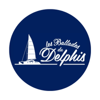 creation-site-internet-martinique-delphis-catamaran creation-site-internet-martinique-delphis-catamaran