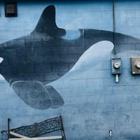 5. Bandon Brewing / Vision 5. Bandon Brewing / Vision