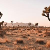 Southern CA Southern CA