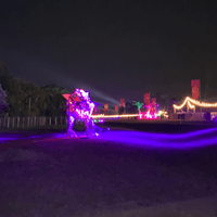 Okeechobee Music Festival