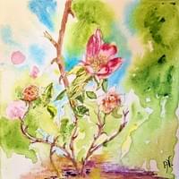 N°632 - LES ROSES DE LA VIE: "Il y a de vraies roses qui poucent sur le roncier qui est à éviter" N°632 - LES ROSES DE LA VIE: "Il y a de vraies roses qui poucent sur le roncier qui est à éviter"