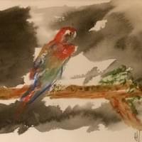 N°99 VISION TROPIQUE N°99 VISION TROPIQUE