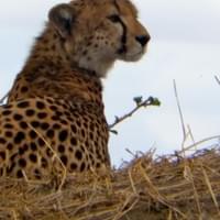 Tanzania 2014 Tanzania 2014