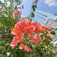 Sri Lanka 2022 Sri Lanka 2022