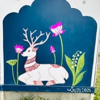 Iam_Sujitha Iam_Sujitha