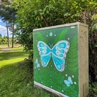 Linda Haume Linda Haume