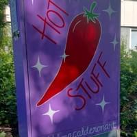 vilma calderon vilma calderon