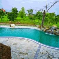 Swimming Pool and Elephants Swimming Pool and Elephants