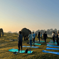 Morning yoga Morning yoga