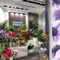 Ifc, Central Ifc, Central