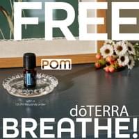 POM Freebie this month! POM Freebie this month!