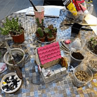 道騰不定時舉辦館內活動 道騰不定時舉辦館內活動