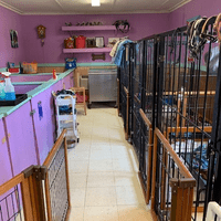 Inside one of our rescue barns