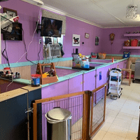 Inside one of our rescue barns