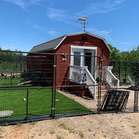 Outside one of our rescue barns