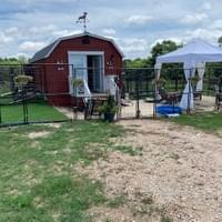 Outside one of our rescue barns
