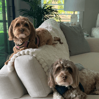 Hi Penny and Bruce! Hi Penny and Bruce!