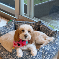 Hi Daisy Mae! Hi Daisy Mae!