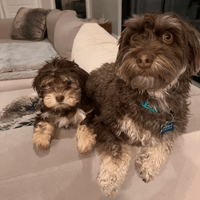 Hi Skylar and Ryder! Hi Skylar and Ryder!