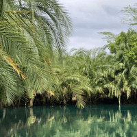 Tanzania Eco-Tours: Natural Geothermal Pools Tanzania Eco-Tours: Natural Geothermal Pools