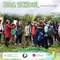 Immersive education Immersive education