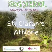 St. Ciaran's, Athlone St. Ciaran's, Athlone
