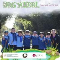 All smiles All smiles