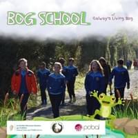 A magic sunny walk A magic sunny walk