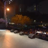 BTS_ The Mighty Sparrow BTS_ The Mighty Sparrow