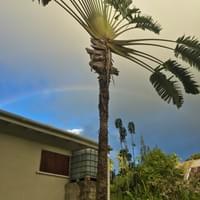 The rainbow the last night of Dominica was a welcome sign that we'd get through everything.