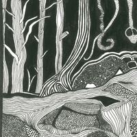 Abundancia  Abundancia