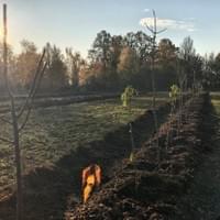 Spätnachmittagliche Stimmung auf dem Feld