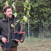 "Assistent" Benedikt Bösel - Gastgeber des Workshops mit Ernst Götsch - bringt die Pflanzen