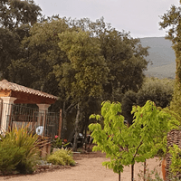 Vue sur le pool-house et de la végétation Vue sur le pool-house et de la végétation