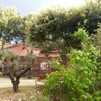 Vue sur la verdure Vue sur la verdure